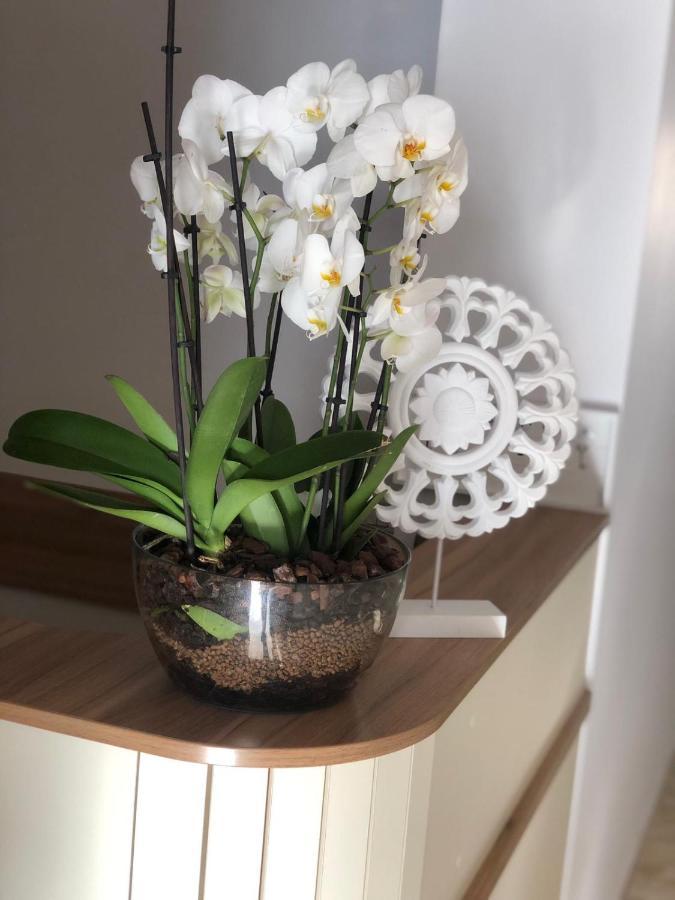 Pensiunea Piscul Cainelui B&B Sinaia