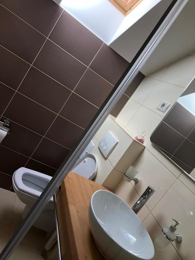 B&B Pensiunea Piscul Cainelui