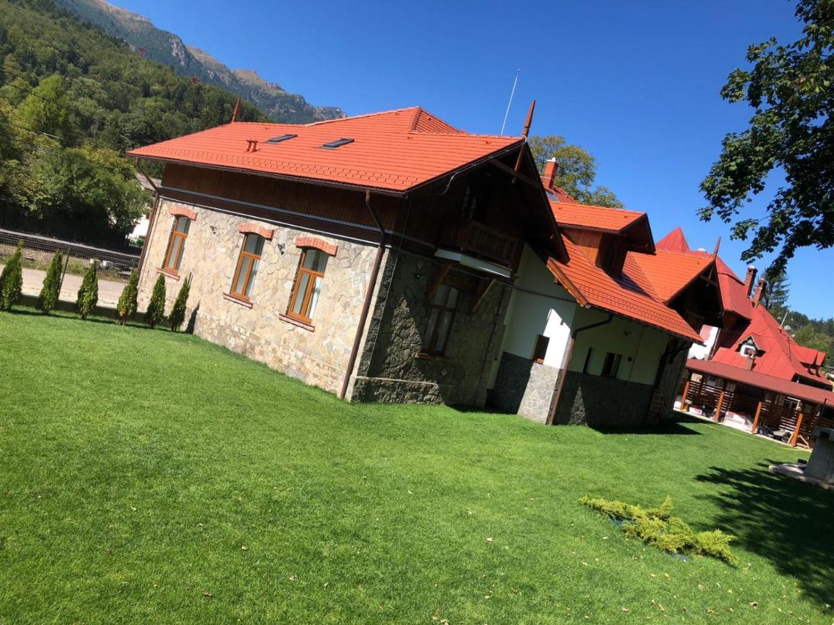 B&B Pensiunea Piscul Cainelui Sinaia