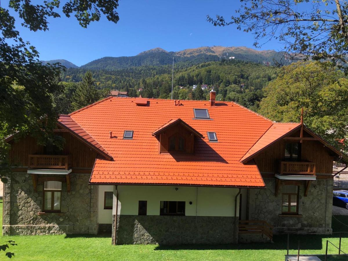 B&B Pensiunea Piscul Cainelui 3*